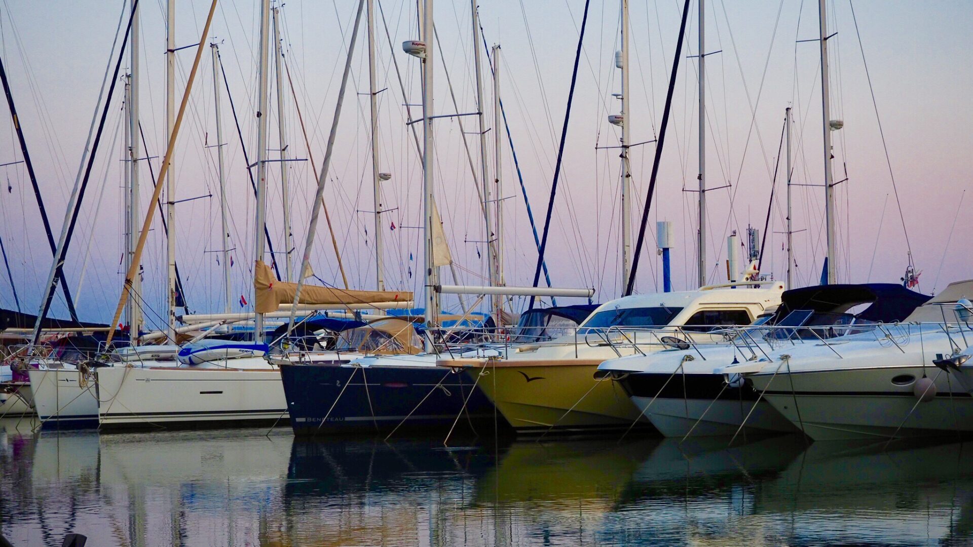 A line of sailboats in the water