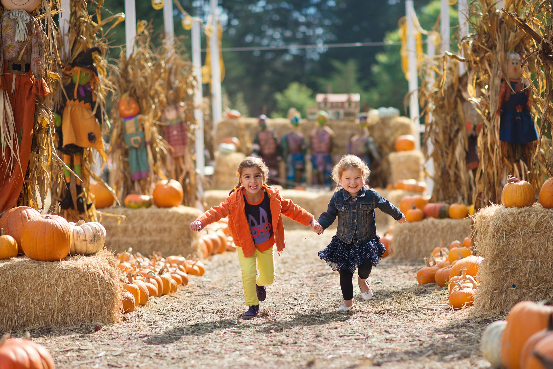 Two young children running through a pumpkin patch