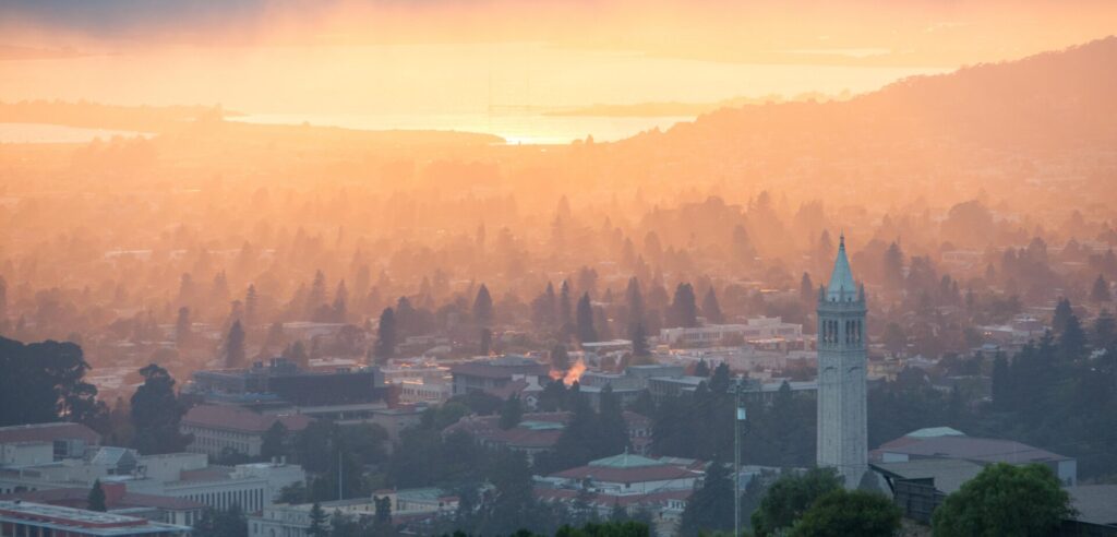 Bay Area Internet Services