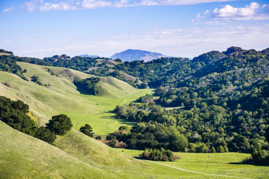 Internet options in Briones, CA